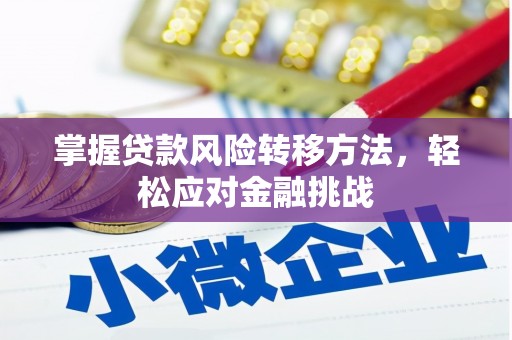 零陵掌握贷款风险转移方法，轻松应对金融挑战