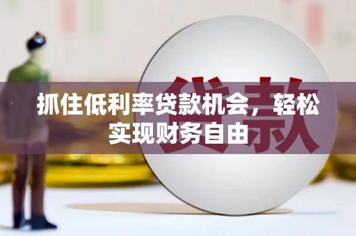 舞阳抓住低利率贷款机会，轻松实现财务自由