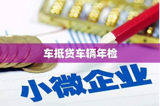 武城车抵贷车辆年检