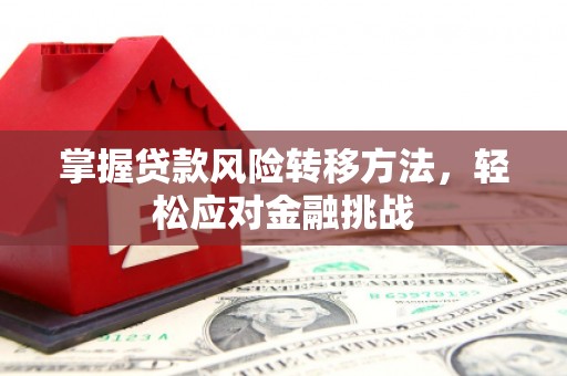 玛沁掌握贷款风险转移方法，轻松应对金融挑战