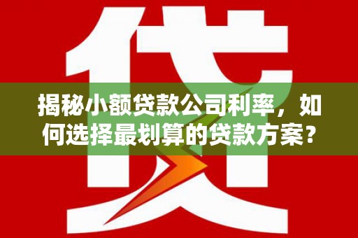 宣化揭秘小额贷款公司利率，如何选择最划算的贷款方案？