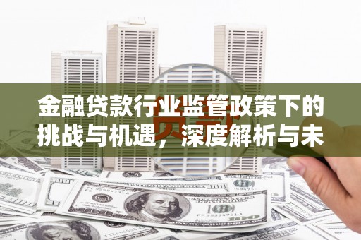 贡井金融贷款行业监管政策下的挑战与机遇，深度解析与未来展望