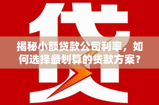淄川揭秘小额贷款公司利率，如何选择最划算的贷款方案？