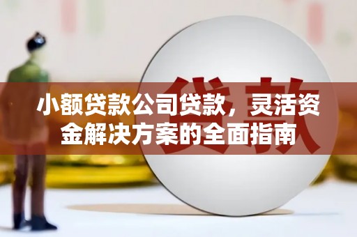 贡井小额贷款公司贷款，灵活资金解决方案的全面指南