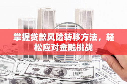 花莲掌握贷款风险转移方法，轻松应对金融挑战
