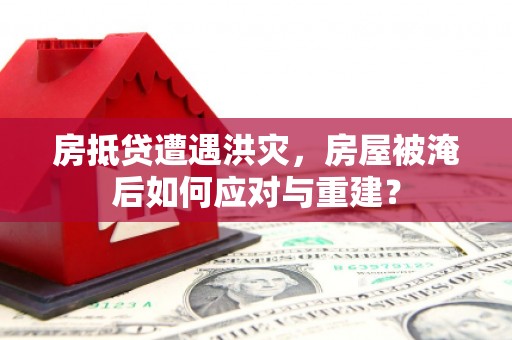 贵德房抵贷遭遇洪灾，房屋被淹后如何应对与重建？