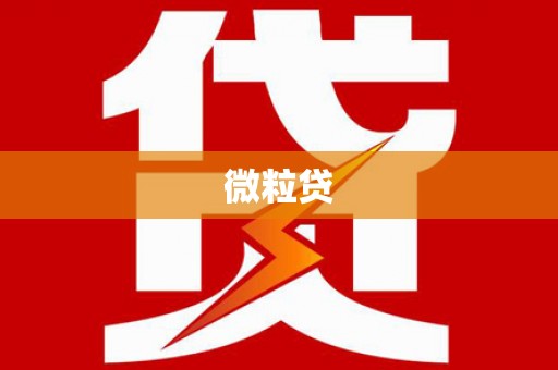 南皮微粒贷