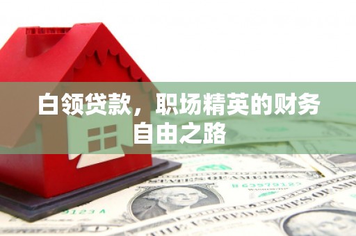 博山白领贷款，职场精英的财务自由之路