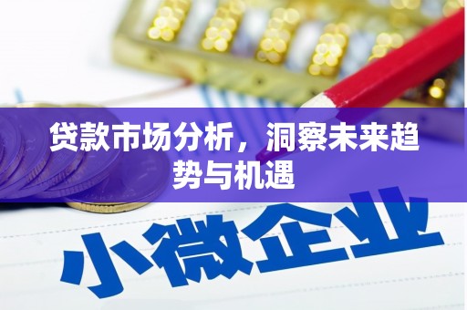 南竿贷款市场分析，洞察未来趋势与机遇
