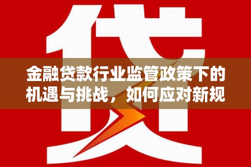 南竿金融贷款行业监管政策下的机遇与挑战，如何应对新规？