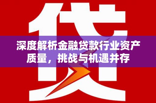 池州深度解析金融贷款行业资产质量，挑战与机遇并存