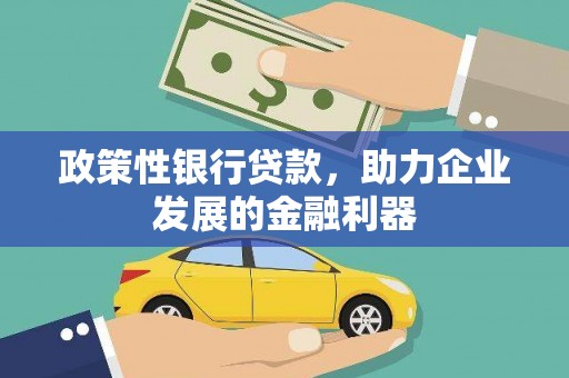 洮北政策性银行贷款，助力企业发展的金融利器
