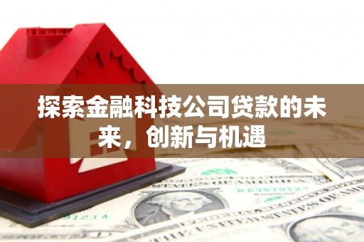漳县探索金融科技公司贷款的未来，创新与机遇