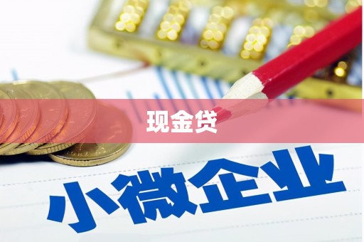 漳县现金贷
