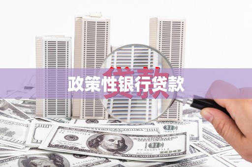 元氏政策性银行贷款