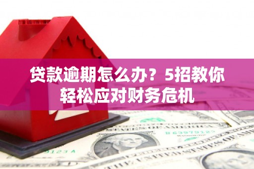 柞水贷款逾期怎么办？5招教你轻松应对财务危机