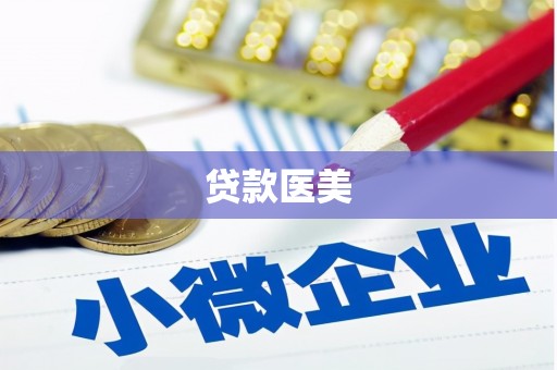 武陵贷款医美