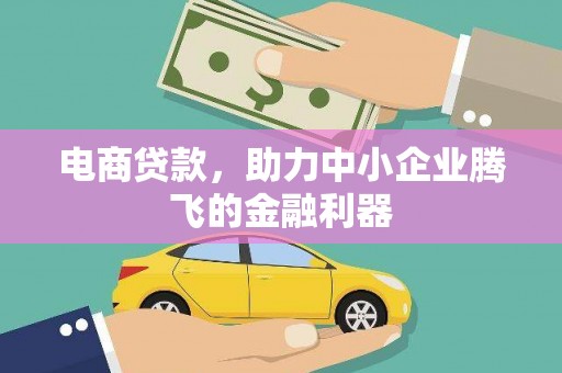 海口电商贷款，助力中小企业腾飞的金融利器