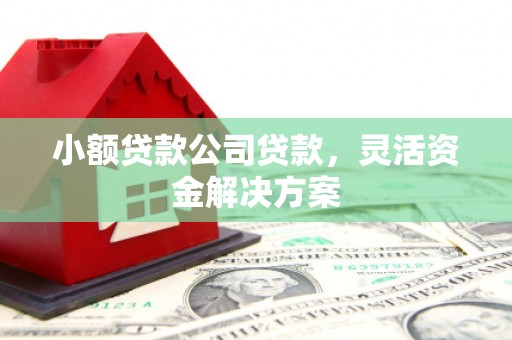 海口小额贷款公司贷款，灵活资金解决方案