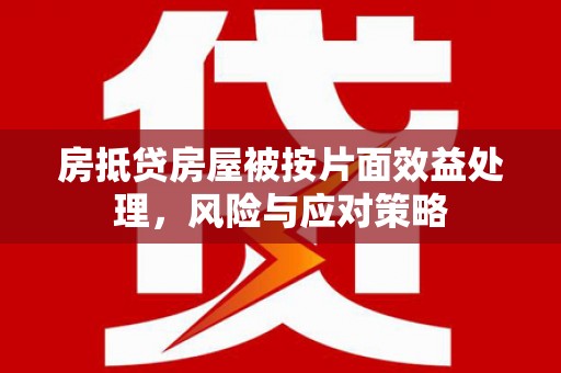 柳南房抵贷房屋被按片面效益处理，风险与应对策略