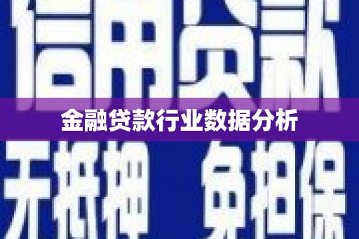 钟祥金融贷款行业数据分析