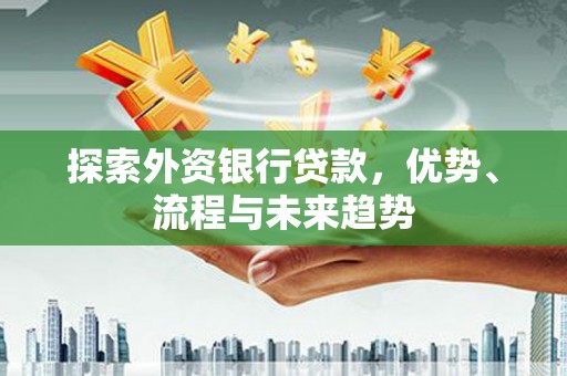 灵武探索外资银行贷款，优势、流程与未来趋势