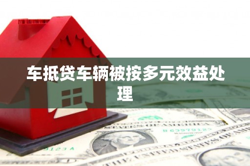仁寿车抵贷车辆被按多元效益处理