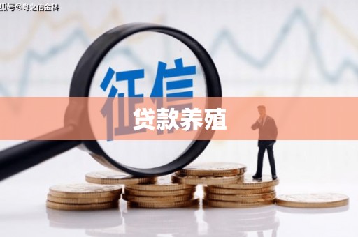 六脚贷款养殖
