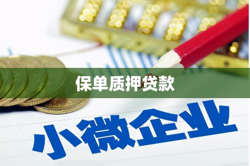 西和保单质押贷款