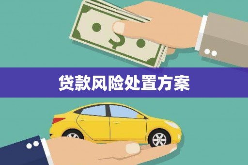 汪清贷款风险处置方案