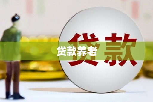 汪清贷款养老