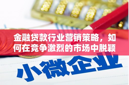 凉城金融贷款行业营销策略，如何在竞争激烈的市场中脱颖而出