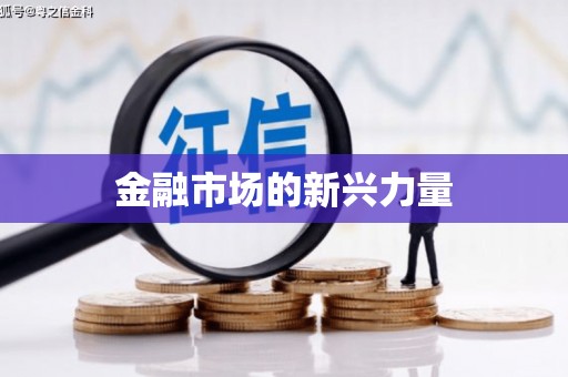 武安金融市场的新兴力量