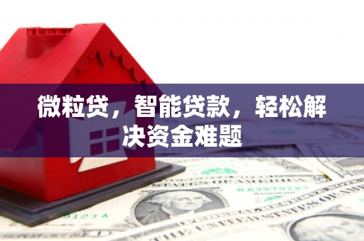 九如微粒贷，智能贷款，轻松解决资金难题