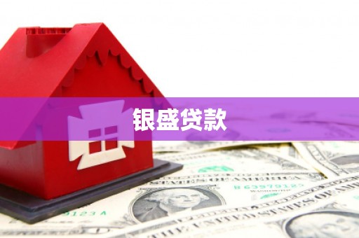 九如银盛贷款