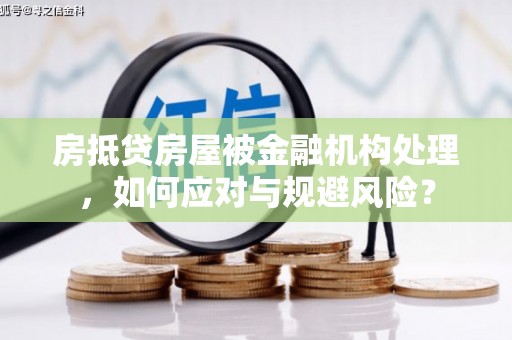 九如房抵贷房屋被金融机构处理，如何应对与规避风险？