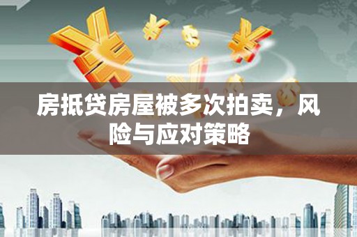 武定房抵贷房屋被多次拍卖，风险与应对策略