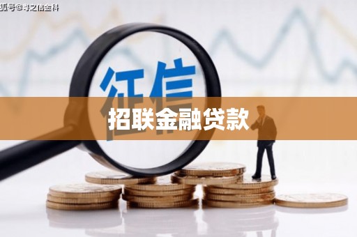 新和招联金融贷款