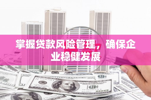 新和掌握贷款风险管理，确保企业稳健发展