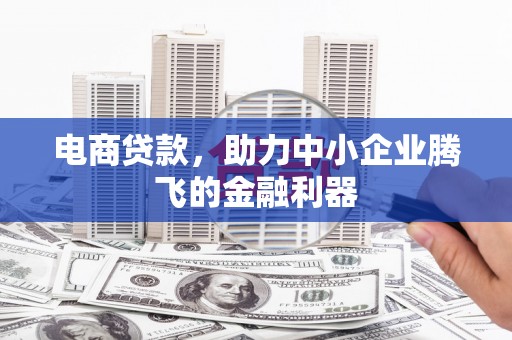 武定电商贷款，助力中小企业腾飞的金融利器