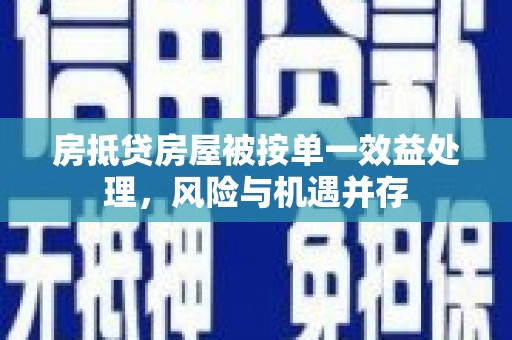 娄星房抵贷房屋被按单一效益处理，风险与机遇并存