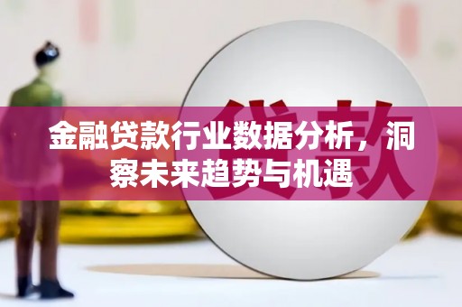 娄星金融贷款行业数据分析，洞察未来趋势与机遇