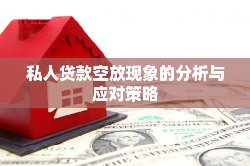 阿莲私人贷款空放现象的分析与应对策略