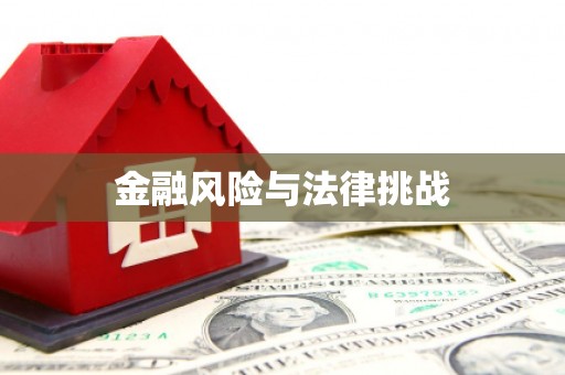 兴山金融风险与法律挑战
