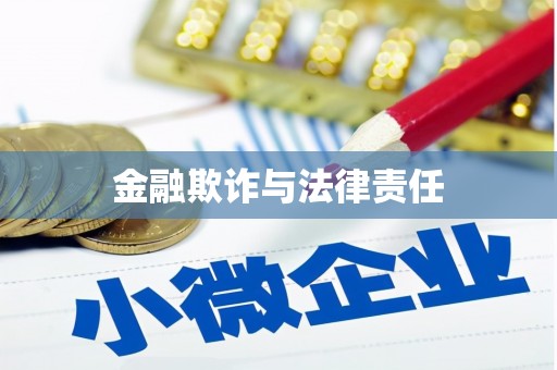 兴山金融欺诈与法律责任