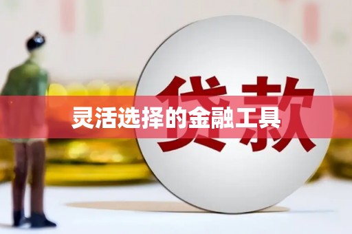 金塔灵活选择的金融工具