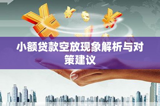 龙川小额贷款空放现象解析与对策建议