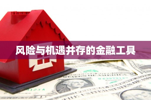 杨梅风险与机遇并存的金融工具