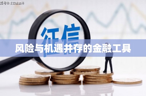 刚察风险与机遇并存的金融工具