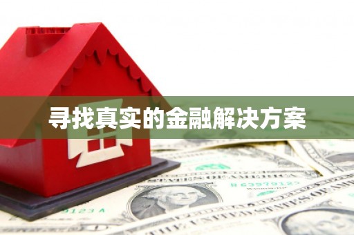 刚察寻找真实的金融解决方案